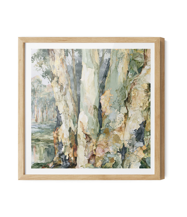 Leaf &amp; Light III by IHeartStudio - Australian Eucalypt Bark Canvas Print