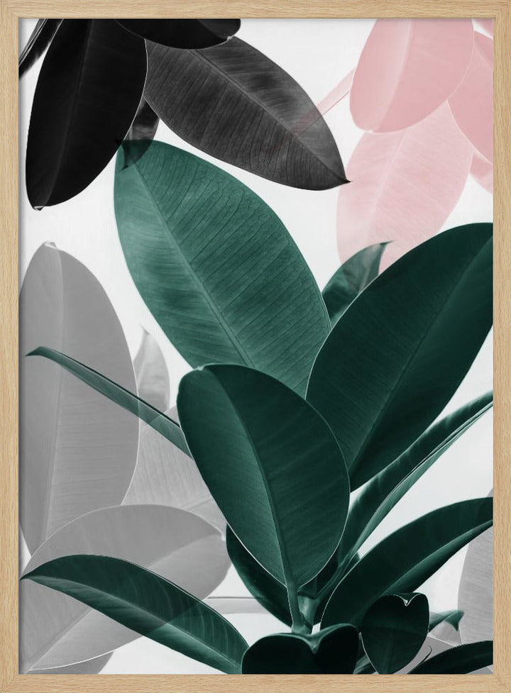Leaf Play - Stretched Canvas, Poster or Fine Art Print I Heart Wall Art