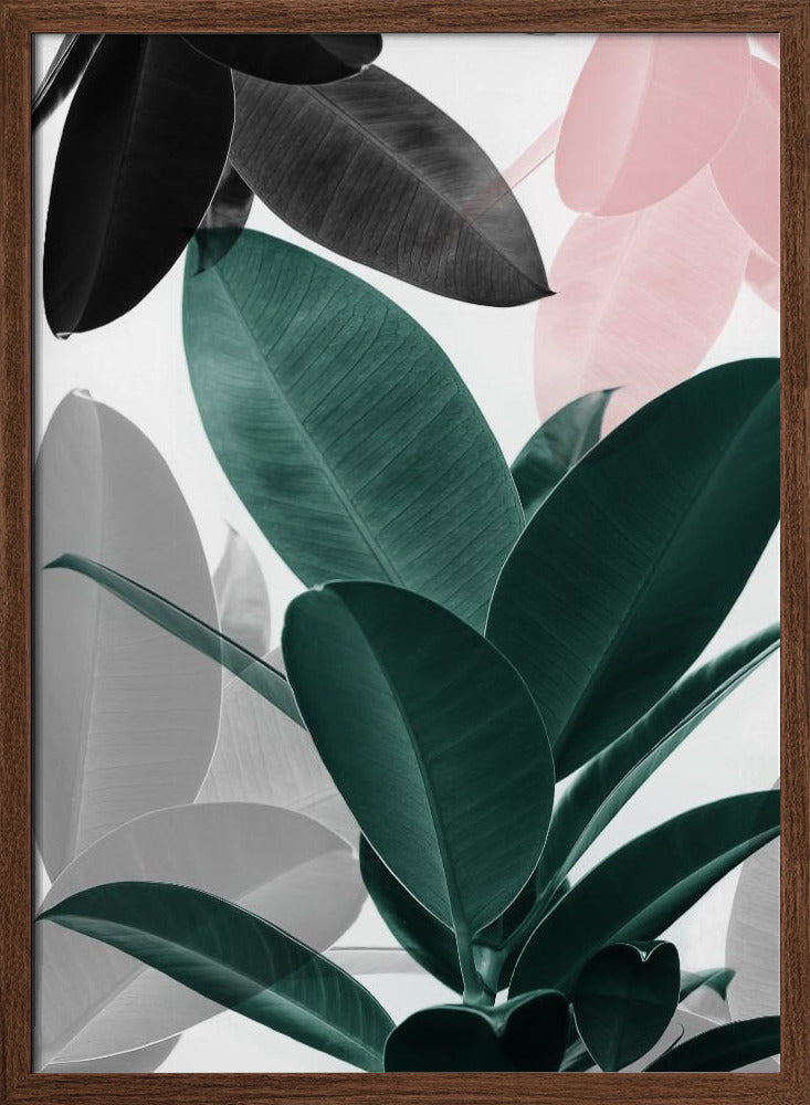 Leaf Play - Stretched Canvas, Poster or Fine Art Print I Heart Wall Art
