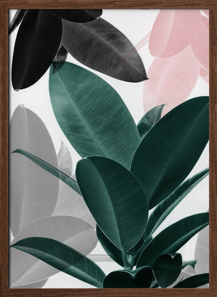 Leaf Play - Stretched Canvas, Poster or Fine Art Print I Heart Wall Art