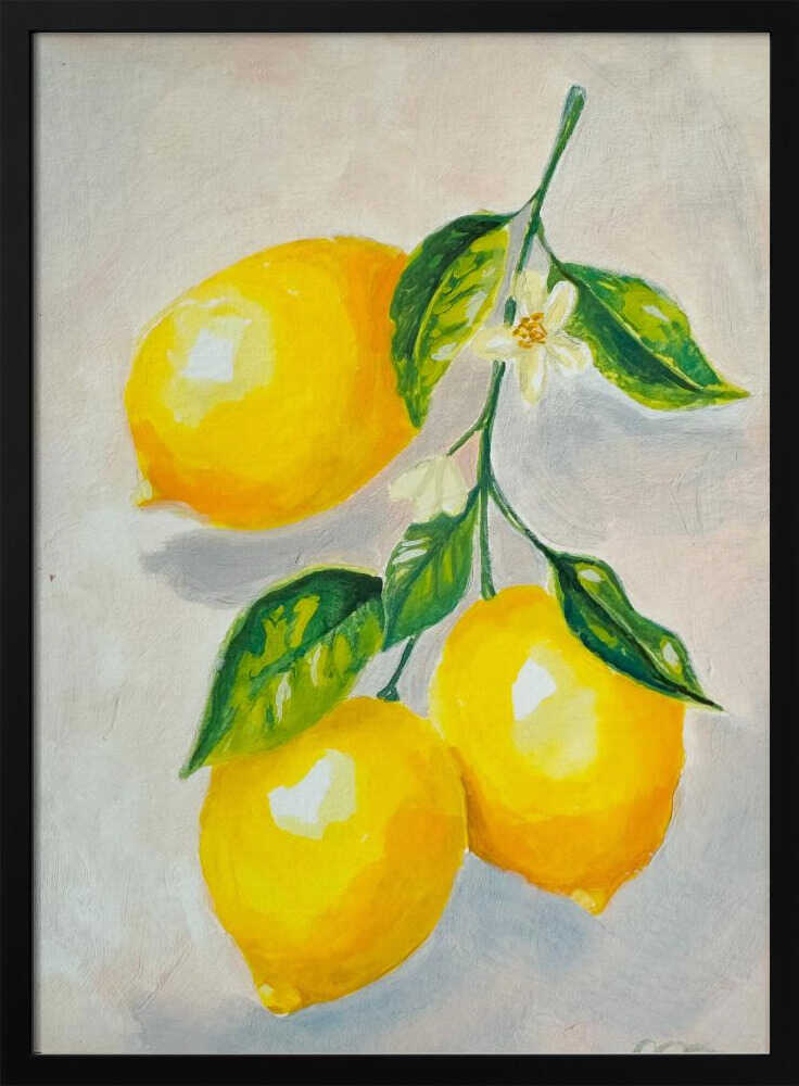 Lemon Study - Stretched Canvas, Poster or Fine Art Print - I Heart Wall Art - Poster Print, Canvas Print or Framed Art Print