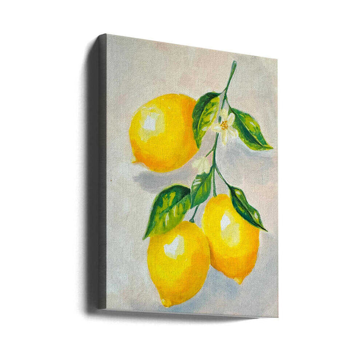 Lemon Study - Stretched Canvas, Poster or Fine Art Print - I Heart Wall Art - Poster Print, Canvas Print or Framed Art Print