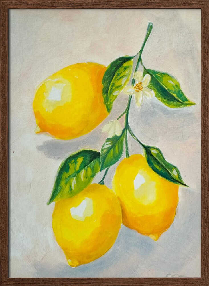 Lemon Study - Stretched Canvas, Poster or Fine Art Print - I Heart Wall Art - Poster Print, Canvas Print or Framed Art Print