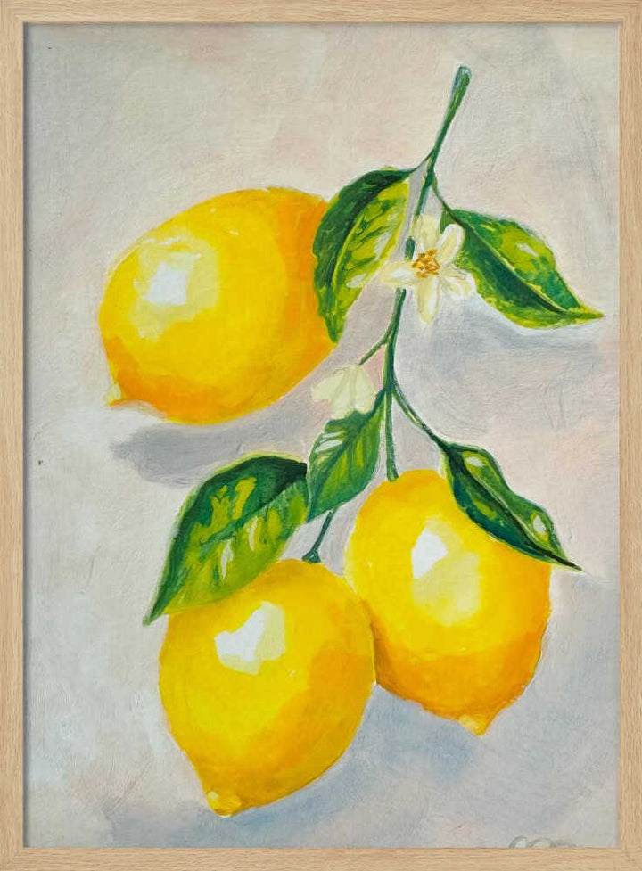 Lemon Study - Stretched Canvas, Poster or Fine Art Print - I Heart Wall Art - Poster Print, Canvas Print or Framed Art Print