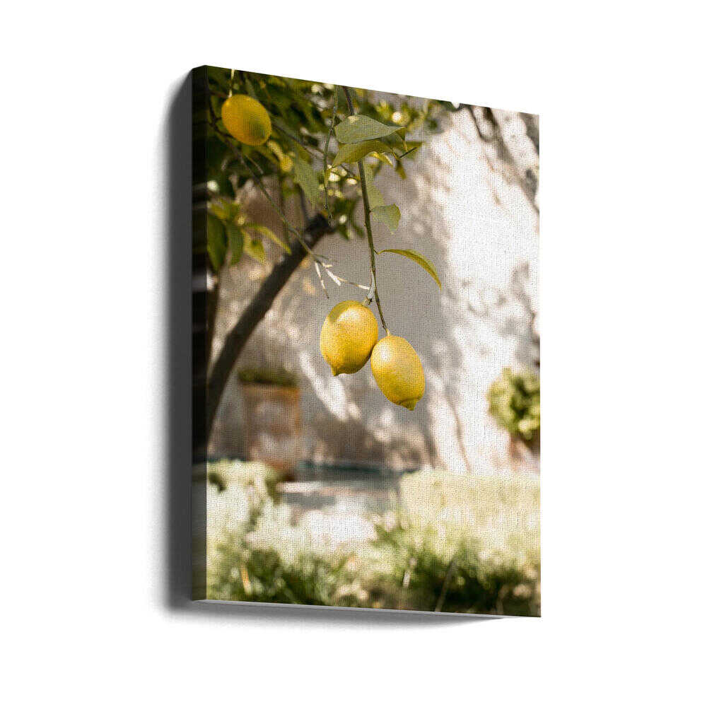 Lemons In the Garden - Stretched Canvas, Poster or Fine Art Print - I Heart Wall Art - Poster Print, Canvas Print or Framed Art Print