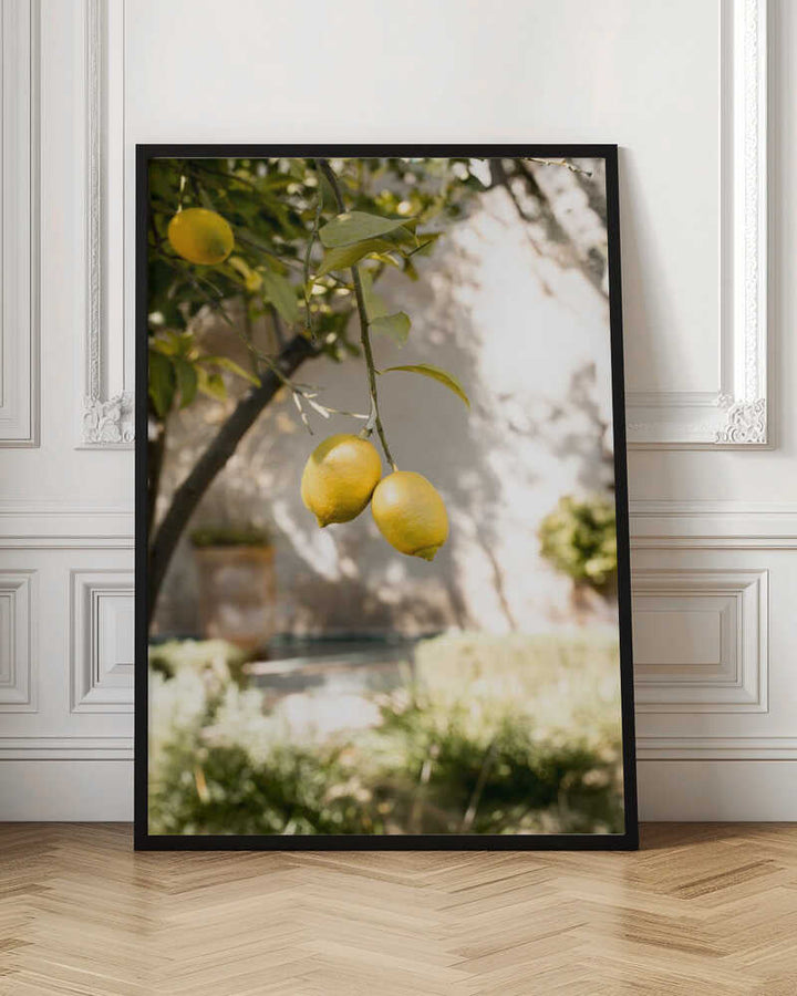 Lemons In the Garden - Stretched Canvas, Poster or Fine Art Print - I Heart Wall Art - Poster Print, Canvas Print or Framed Art Print