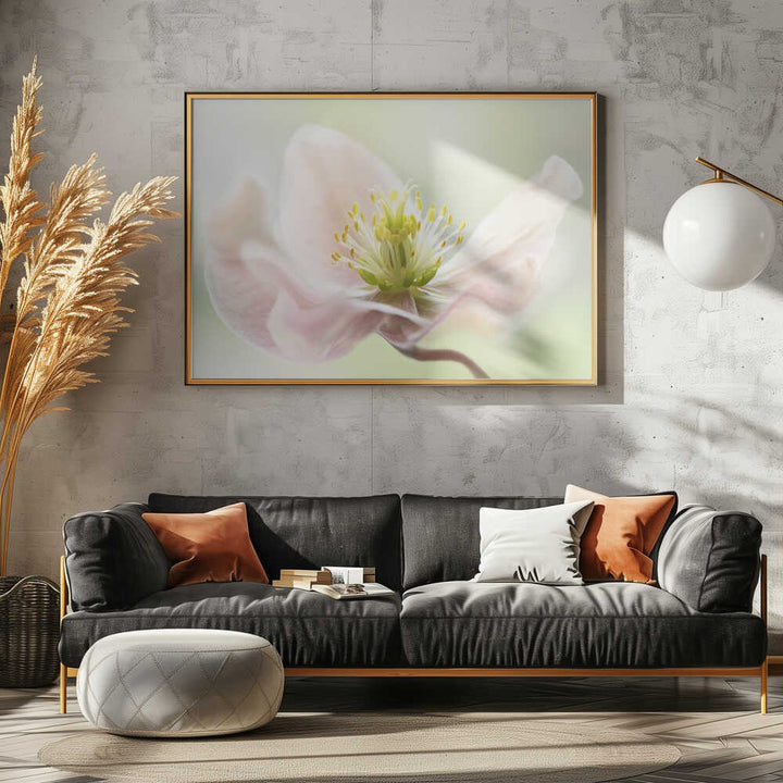 Lenten Spring - Floral Photographic Stretched Canvas Poster or Fine Art Print