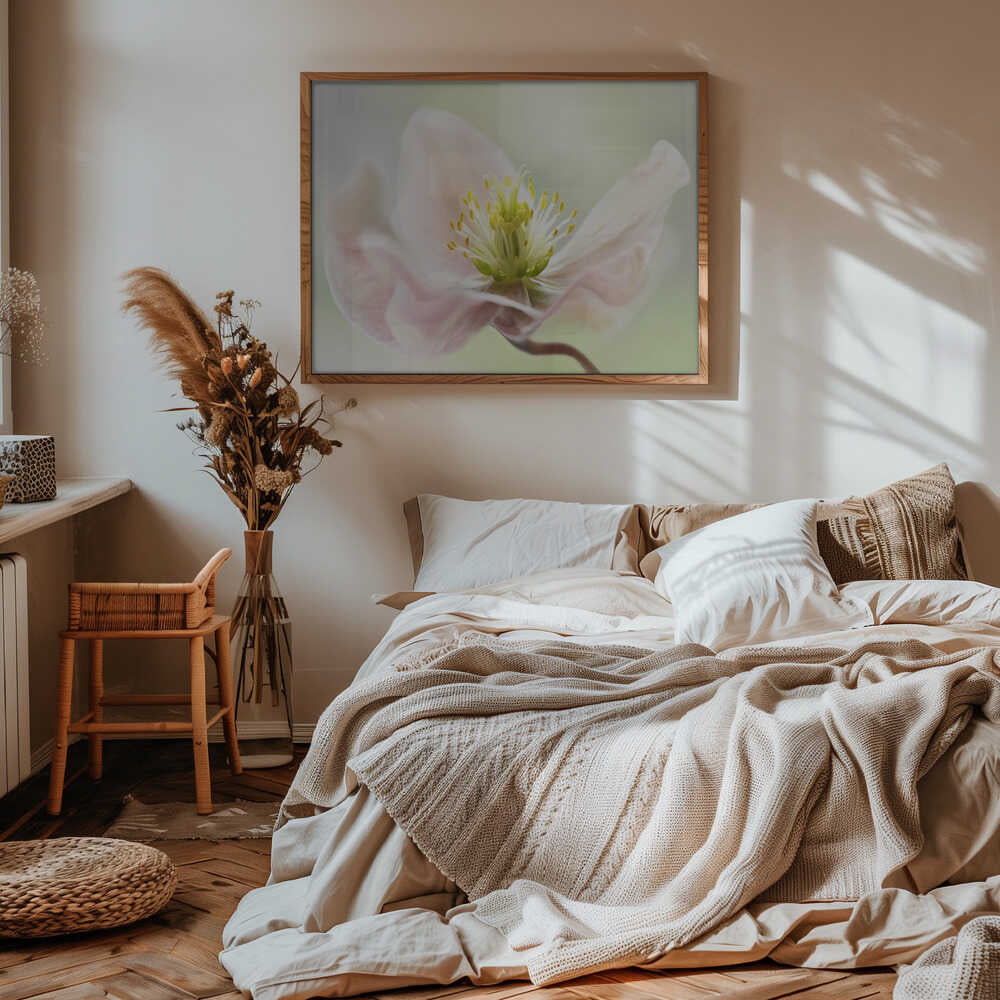 Lenten Spring - Floral Photographic Stretched Canvas Poster or Fine Art Print