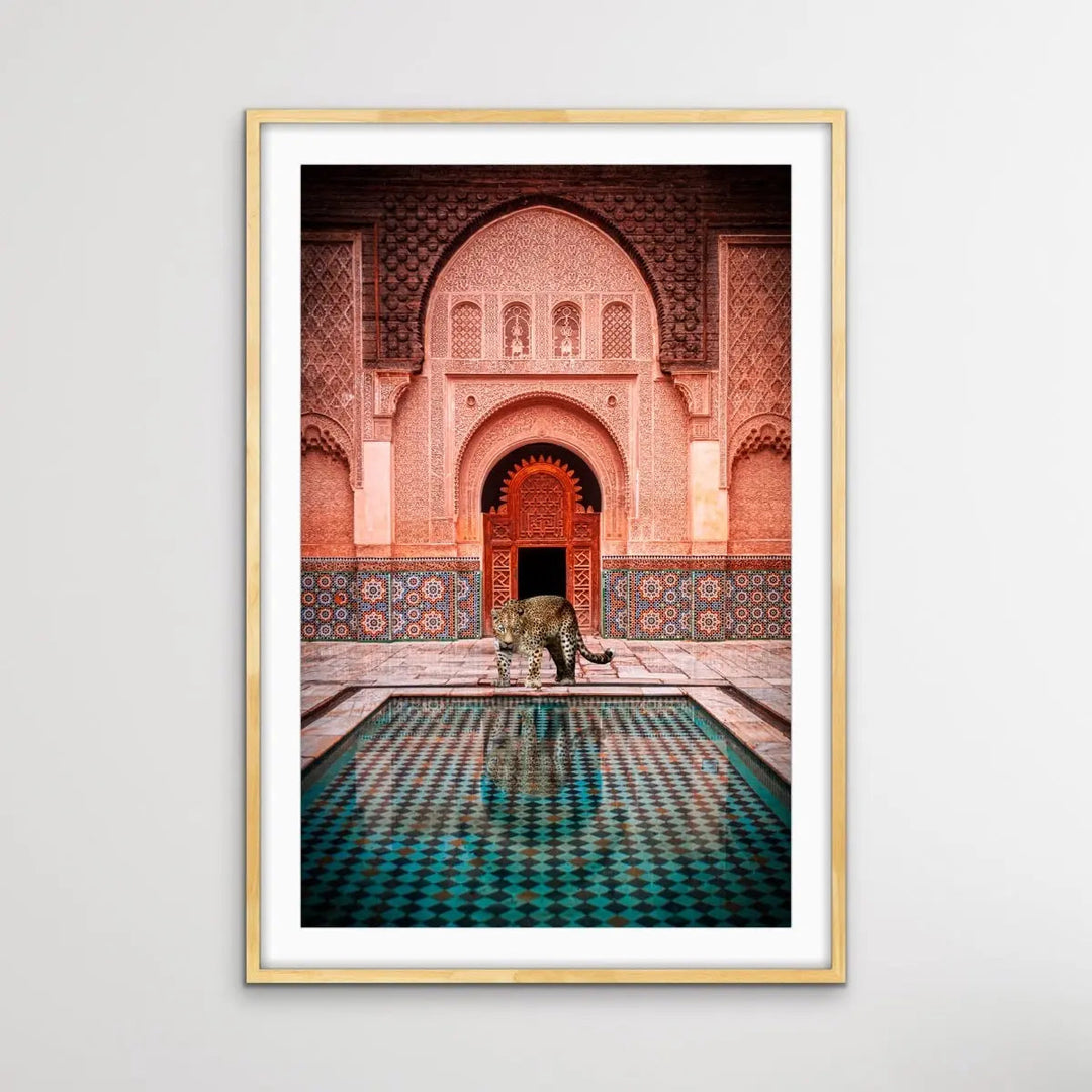 Leopard Loose In Marrakesh - Print of Leopard Next To Moroccan Style Pool - I Heart Wall Art