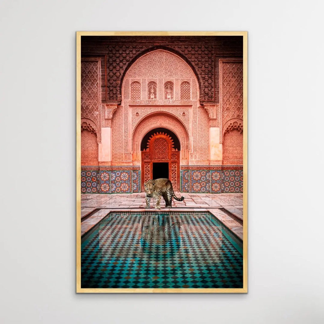 Leopard Loose In Marrakesh - Print of Leopard Next To Moroccan Style Pool - I Heart Wall Art