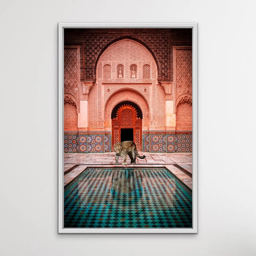 Leopard Loose In Marrakesh - Print of Leopard Next To Moroccan Style Pool - I Heart Wall Art