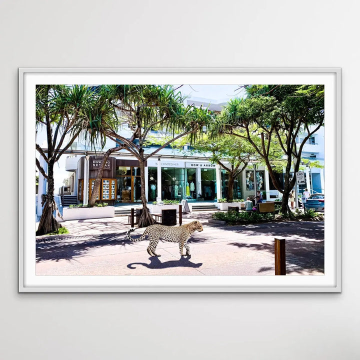 Leopard On Hastings Street - Noosa Streetscape Print - I Heart Wall Art