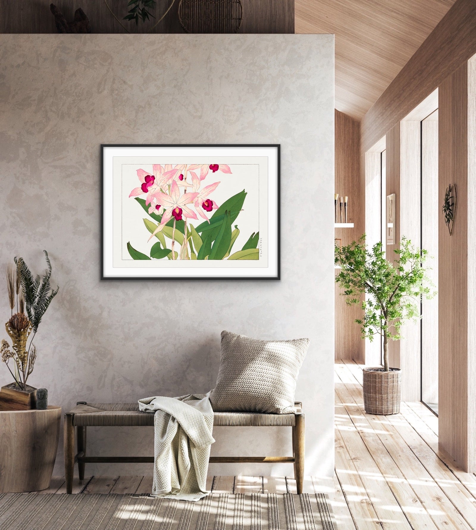 Light Pink Orchid Flower - Vintage Botanical Art Print Illustration, Poster Print or Stretched Canvas I Heart Wall Art Australia