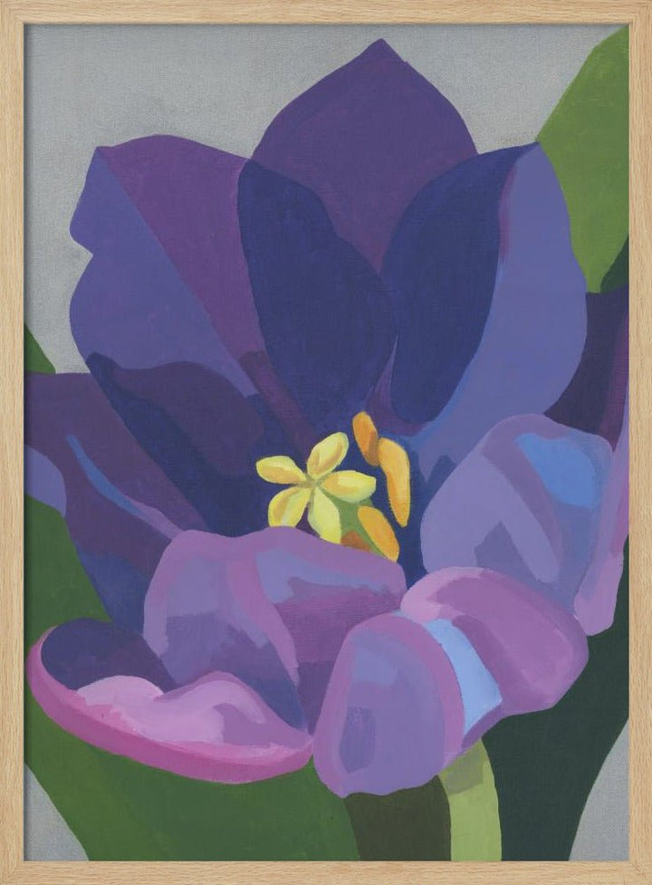 Lila Tulpan - Stretched Canvas, Poster or Fine Art Print - I Heart Wall Art - Poster Print, Canvas Print or Framed Art Print