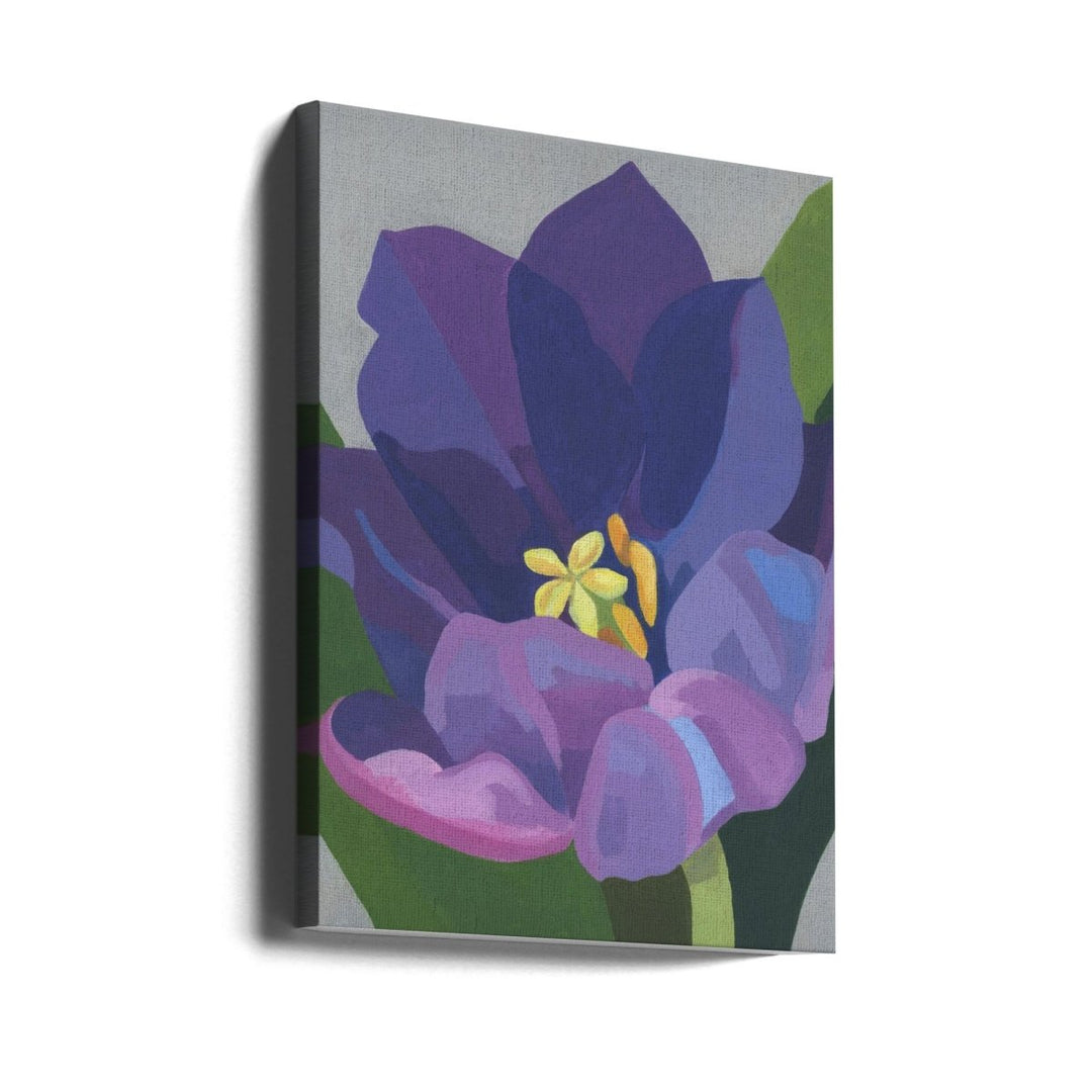 Lila Tulpan - Stretched Canvas, Poster or Fine Art Print - I Heart Wall Art - Poster Print, Canvas Print or Framed Art Print