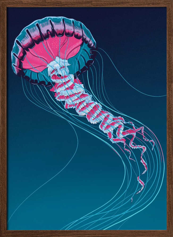 Lions Mane Jellyfish - Stretched Canvas, Poster or Fine Art Print - I Heart Wall Art - Poster Print, Canvas Print or Framed Art Print