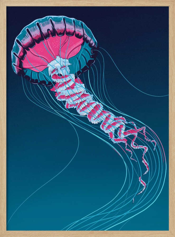 Lions Mane Jellyfish - Stretched Canvas, Poster or Fine Art Print - I Heart Wall Art - Poster Print, Canvas Print or Framed Art Print