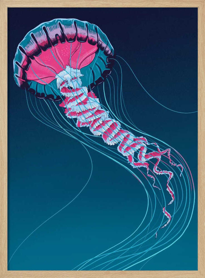 Lions Mane Jellyfish - Stretched Canvas, Poster or Fine Art Print - I Heart Wall Art - Poster Print, Canvas Print or Framed Art Print