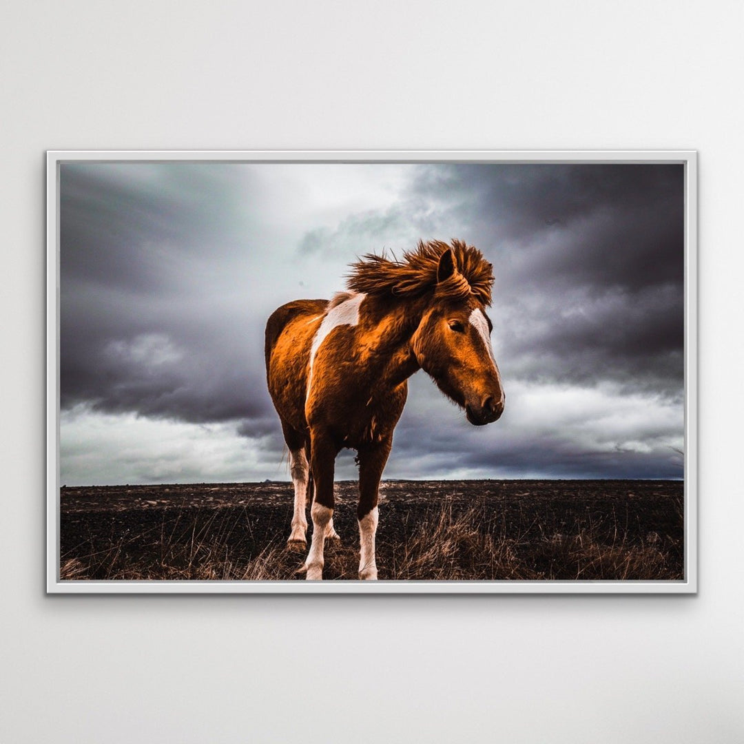 Little Pony - Wild Horse Landscape Framed Canvas Print Wall Art Print I Heart Wall Art Australia 
