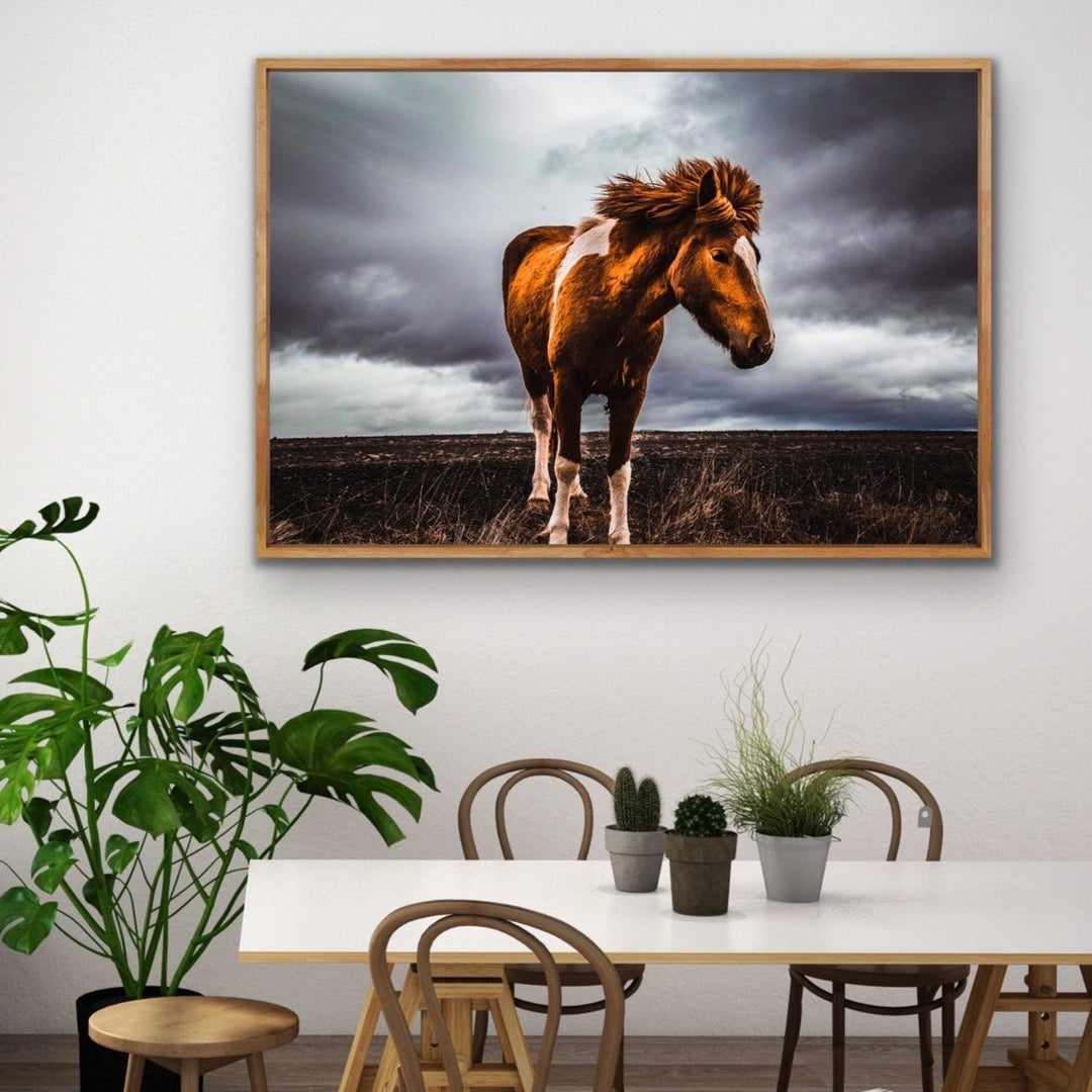 Little Pony - Wild Horse Landscape Framed Canvas Print Wall Art Print I Heart Wall Art Australia 