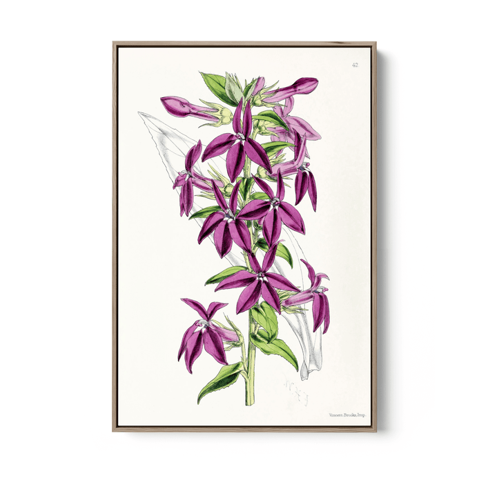 Lobelias from The Floral Magazine (1861 - 1881) by Worthington G. Smith, John N. Fitch and Walter H. Fitch - Botanical Illustration Stretched Canvas or Wall Art Print - I Heart Wall Art - Poster Print, Canvas Print or Framed Art Print