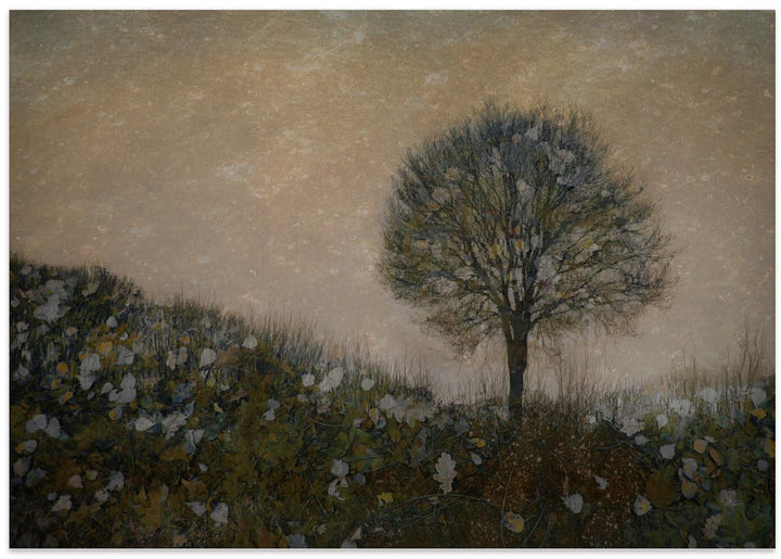 Lonely - Stretched Canvas, Poster or Fine Art Print I Heart Wall Art