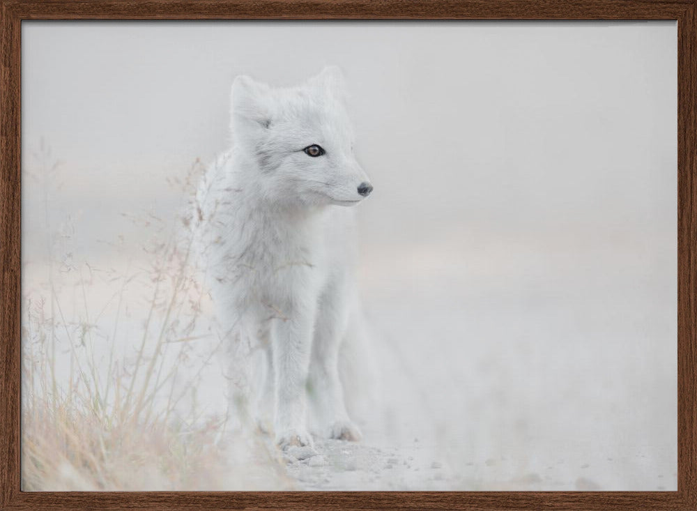Looking around - Stretched Canvas, Poster or Fine Art Print I Heart Wall Art