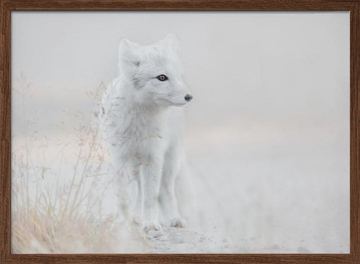 Looking around - Stretched Canvas, Poster or Fine Art Print I Heart Wall Art