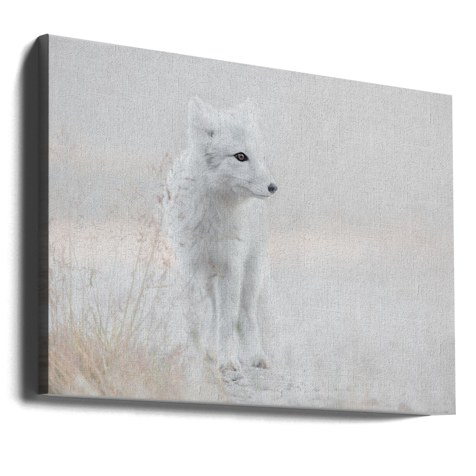 Looking around - Stretched Canvas, Poster or Fine Art Print I Heart Wall Art