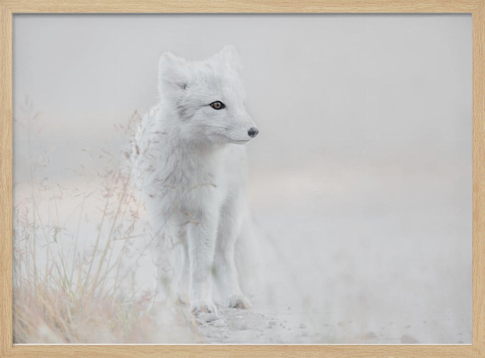 Looking around - Stretched Canvas, Poster or Fine Art Print I Heart Wall Art