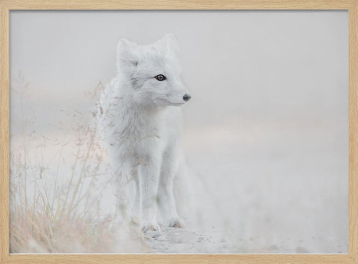 Looking around - Stretched Canvas, Poster or Fine Art Print I Heart Wall Art