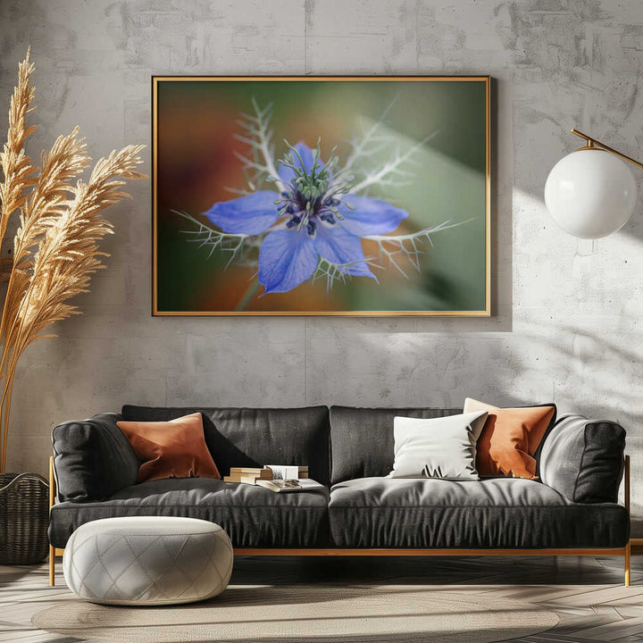 Love In A Mist Flower - Floral Photographic Stretched Canvas Poster or Fine Art Print
