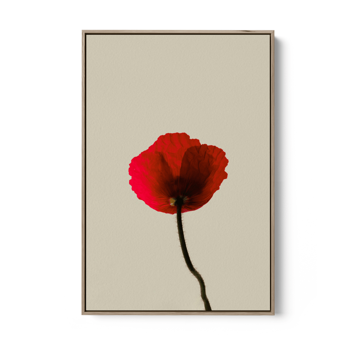 Love Rose - Red Flower Contemporary Stretched Canvas or Wall Art Print - I Heart Wall Art - Poster Print, Canvas Print or Framed Art Print