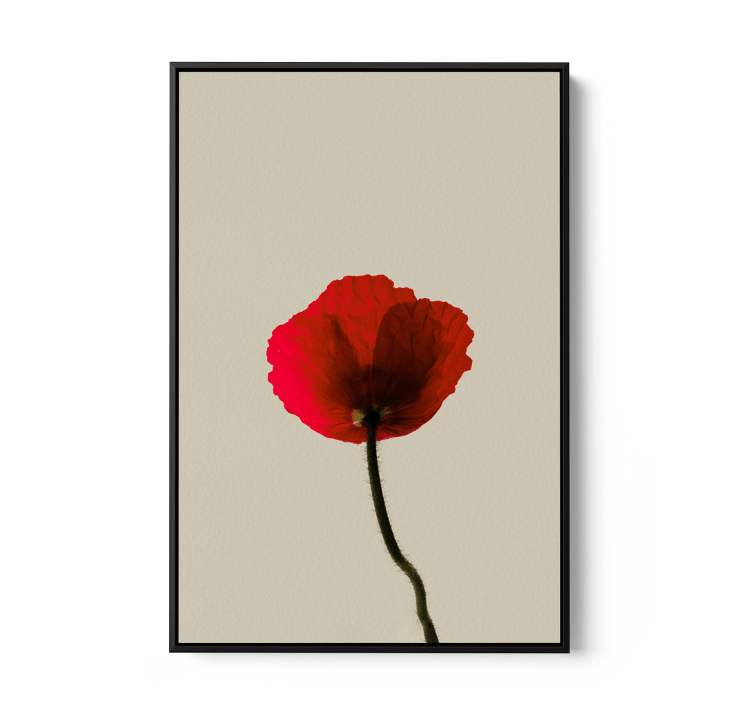 Love Rose - Red Flower Contemporary Stretched Canvas or Wall Art Print - I Heart Wall Art - Poster Print, Canvas Print or Framed Art Print