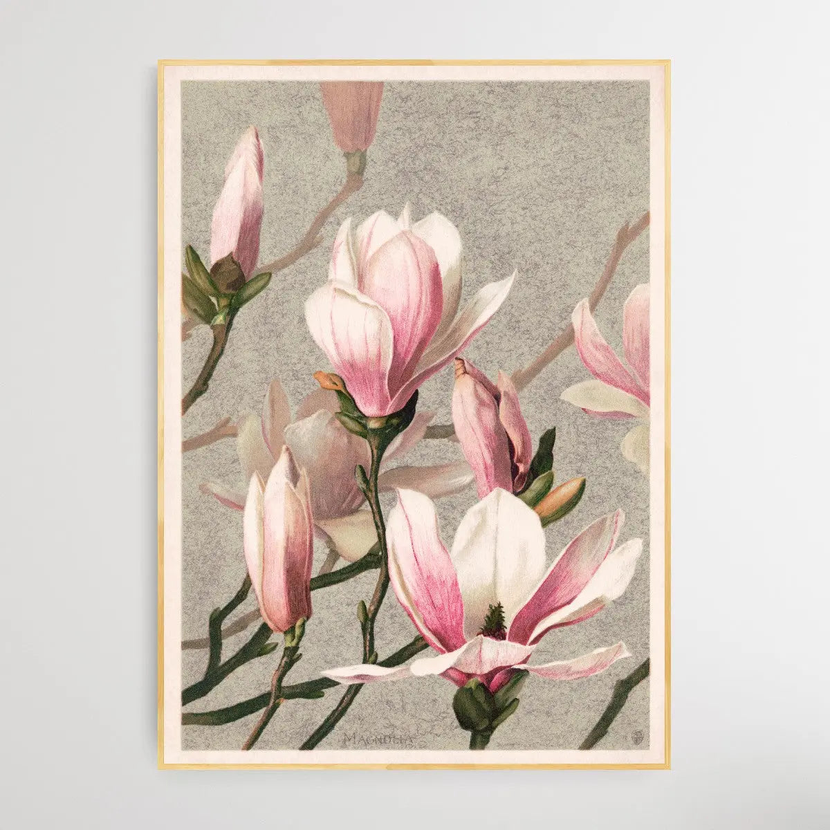 Magnolia (1886) by L. Prang & Co. - I Heart Wall Art