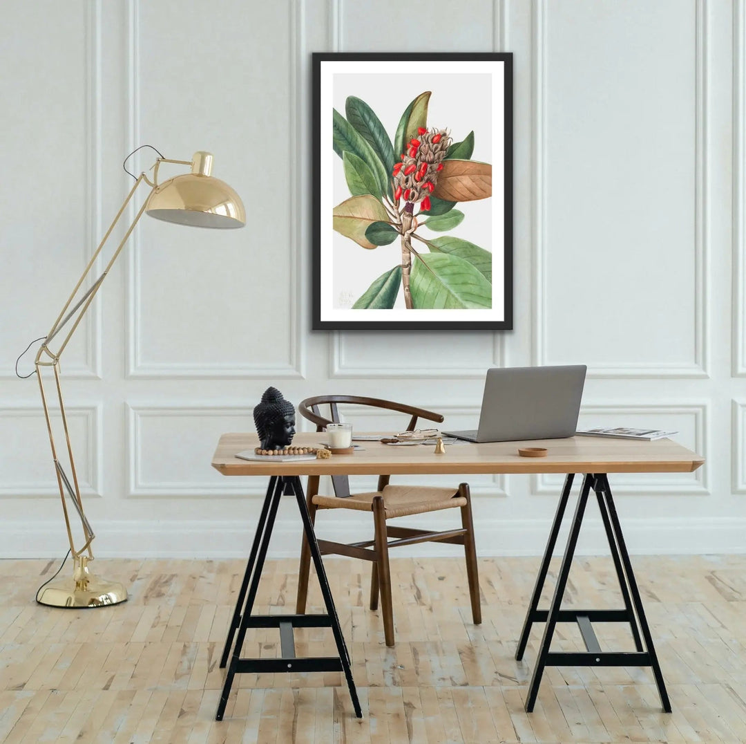 Magnolia Grandiflora (1923) by Mary Vaux Walcott - I Heart Wall Art