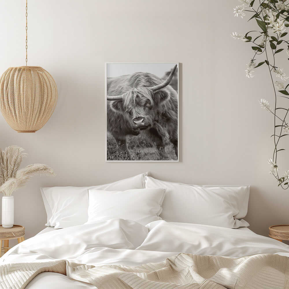 Majestic Highland Cow - Floral Photographic Stretched Canvas Poster or Fine Art Print