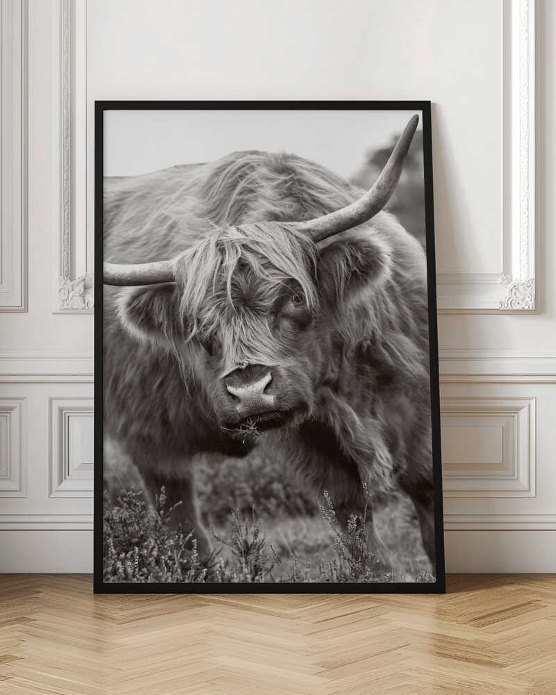 Majestic Highland Cow - Floral Photographic Stretched Canvas Poster or Fine Art Print
