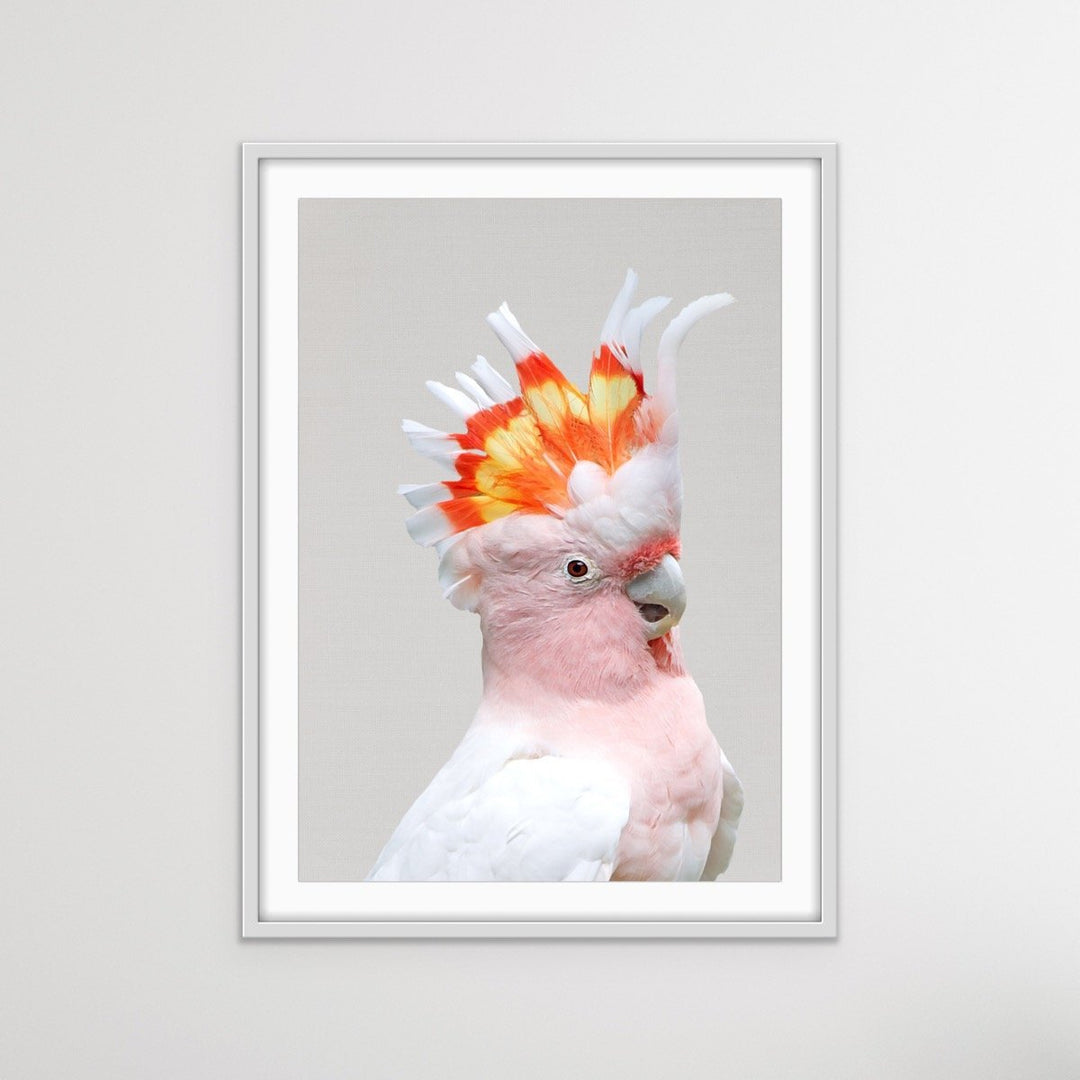 Major Mitchells Cockatoo (Leadbeater) Pink Cockatoo Canvas Wall Art Prints - I Heart Wall Art