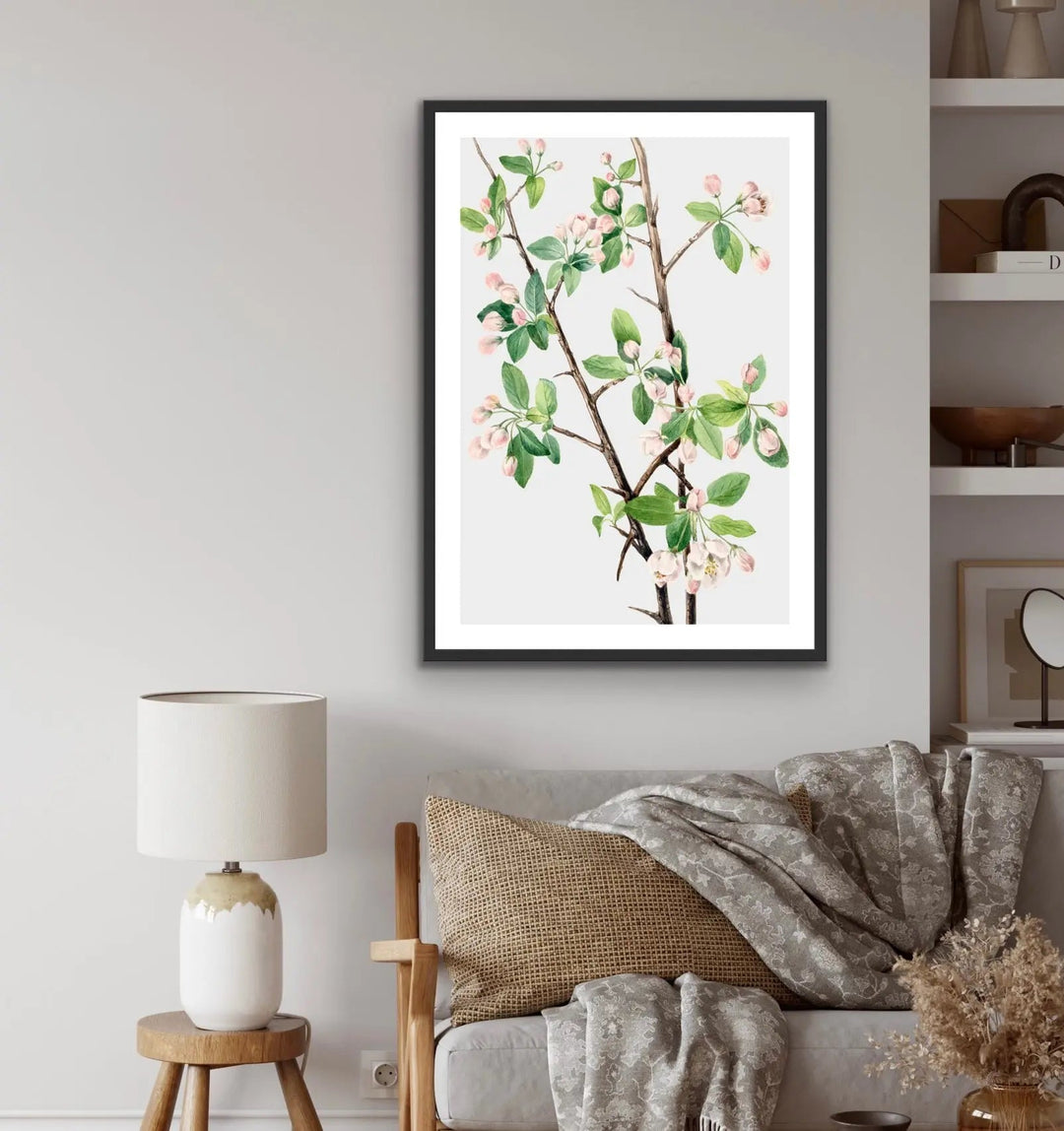 Malus Coronaria (1920) by Mary Vaux Walcott - I Heart Wall Art