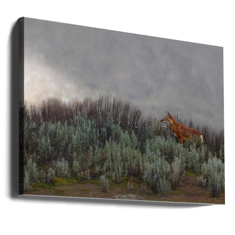 Maned Wolf In Mist - Stretched Canvas, Poster or Fine Art Print - I Heart Wall Art - Poster Print, Canvas Print or Framed Art Print