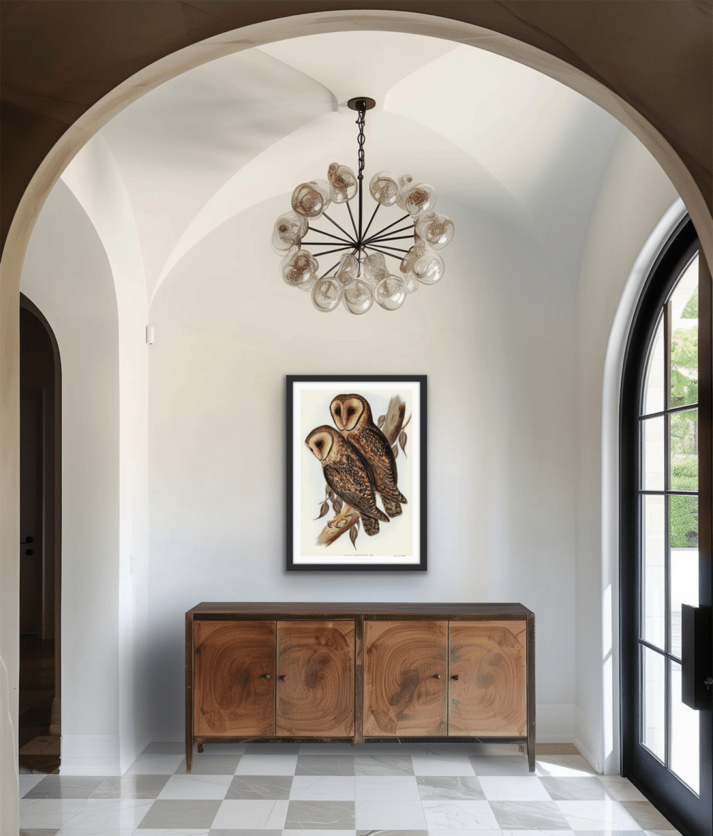 Masked Barn Owl By Elizabeth Gould (1804–1841) - Fine Art Print or Canvas Print - I Heart Wall Art - Poster Print, Canvas Print or Framed Art Print