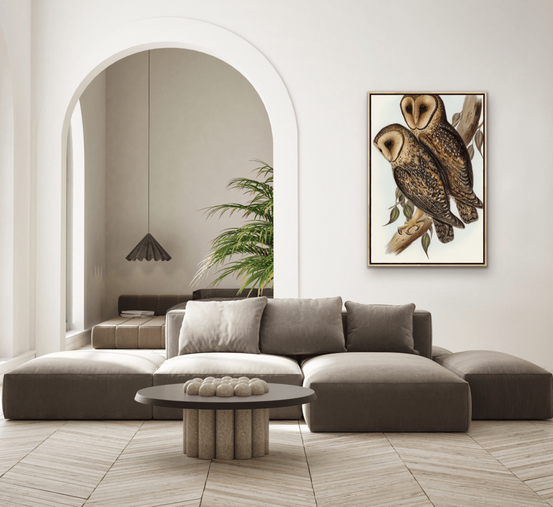 Masked Barn Owl By Elizabeth Gould (1804–1841) - Fine Art Print or Canvas Print - I Heart Wall Art - Poster Print, Canvas Print or Framed Art Print