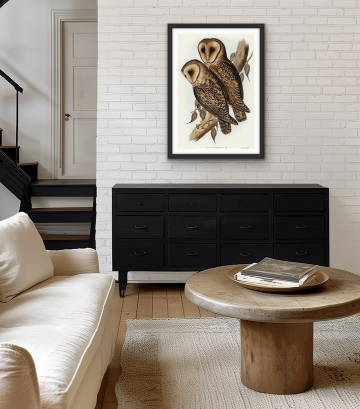 Masked Barn Owl By Elizabeth Gould (1804–1841) - Fine Art Print or Canvas Print - I Heart Wall Art - Poster Print, Canvas Print or Framed Art Print