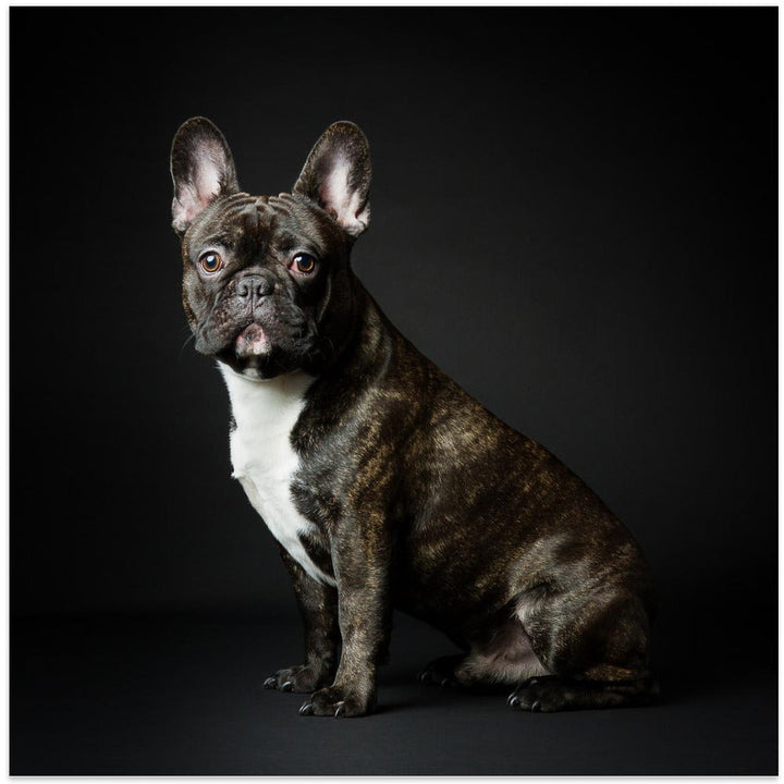 Max - Square Stretched Canvas, Poster or Fine Art Print I Heart Wall Art