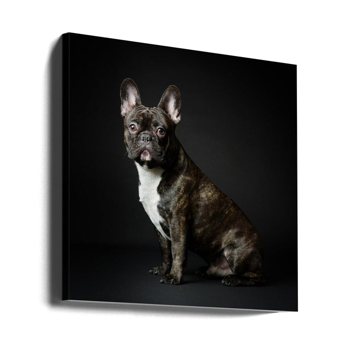 Max - Square Stretched Canvas, Poster or Fine Art Print I Heart Wall Art