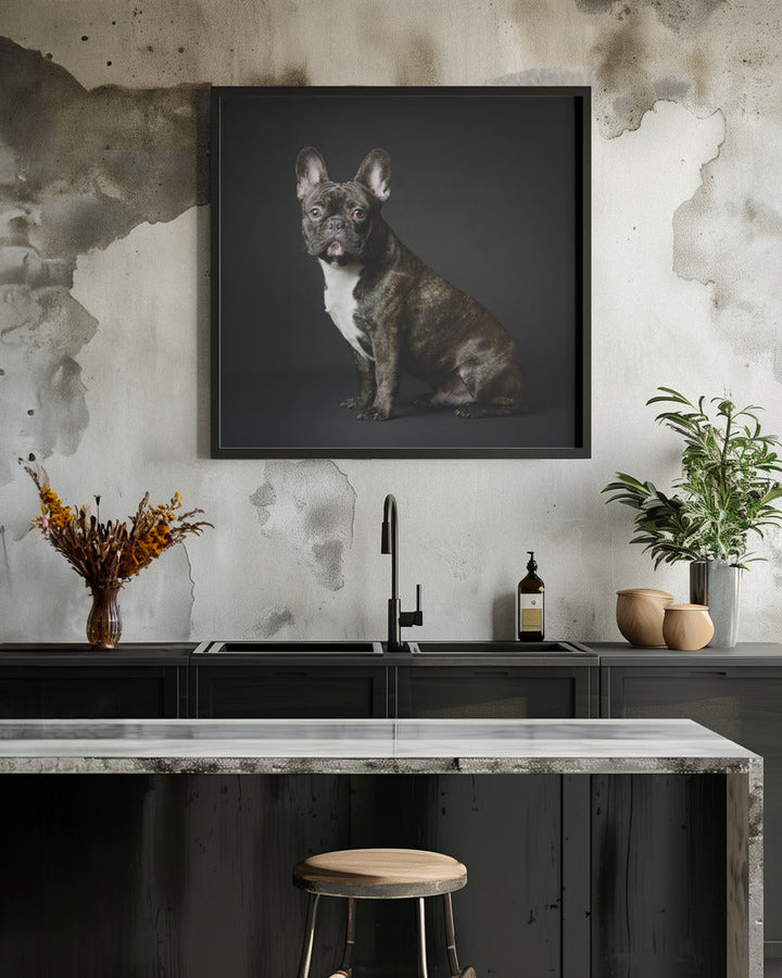 Max - Square Stretched Canvas, Poster or Fine Art Print I Heart Wall Art