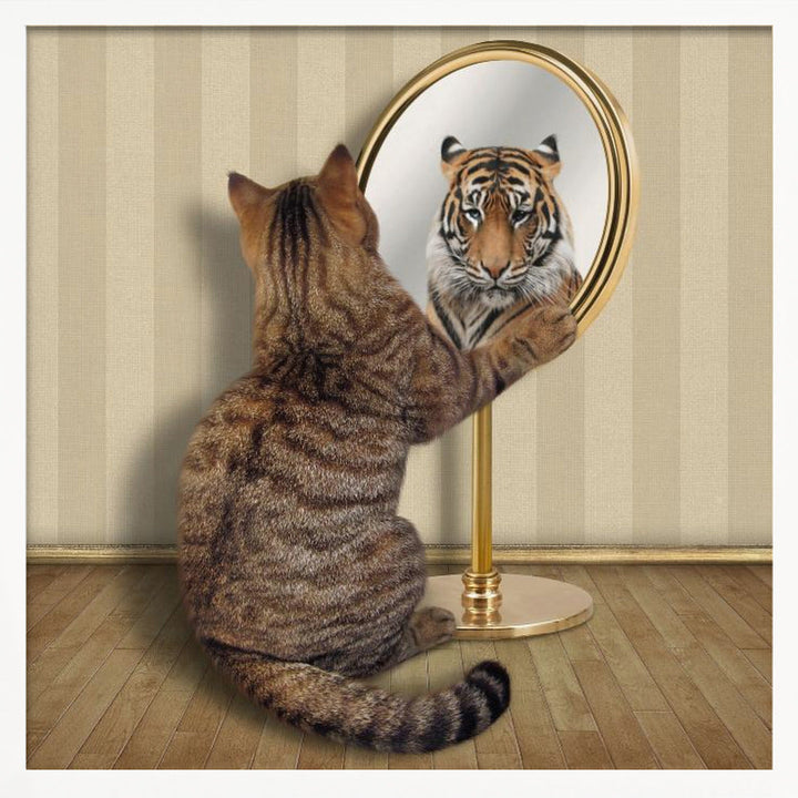 Megalomania.... - Square Stretched Canvas, Poster or Fine Art Print I Heart Wall Art