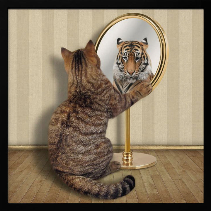 Megalomania.... - Square Stretched Canvas, Poster or Fine Art Print I Heart Wall Art