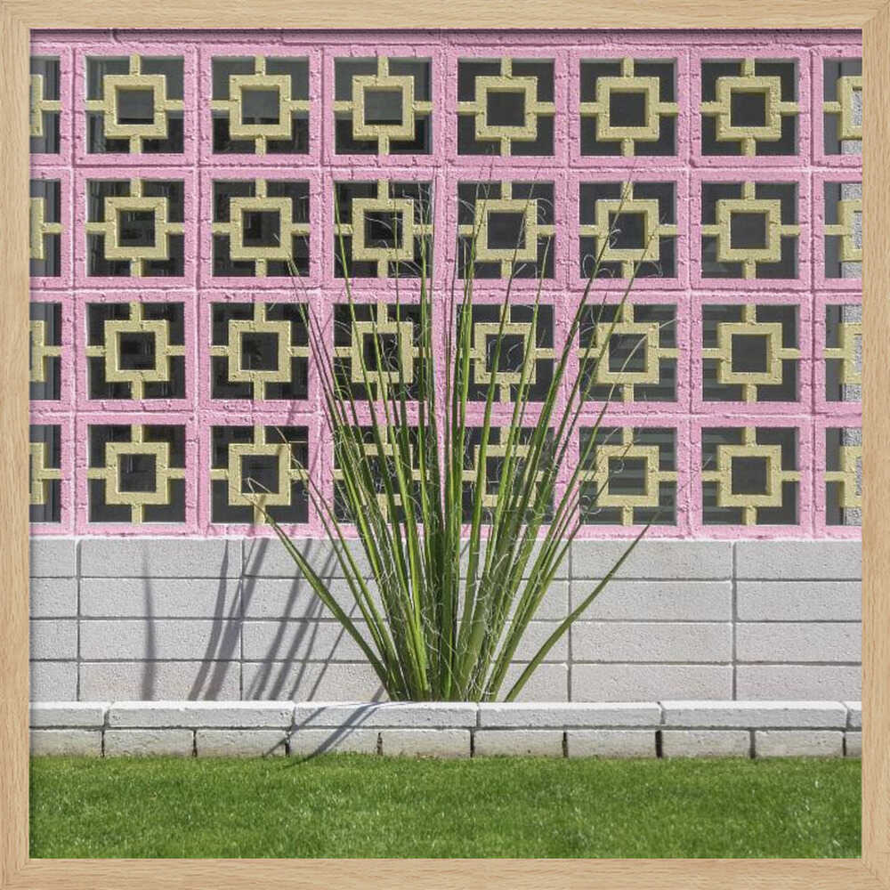 Mid - Century Breeze Block Wall with Cactus in Palm Springs, California - Square Stretched Canvas, Poster or Fine Art Print - I Heart Wall Art - Poster Print, Canvas Print or Framed Art Print